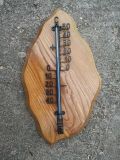 Thermometer
